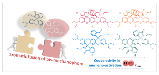 1665646357943686.png image.png