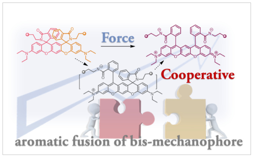 1665646394257687.png QQ截圖20221013153304.png