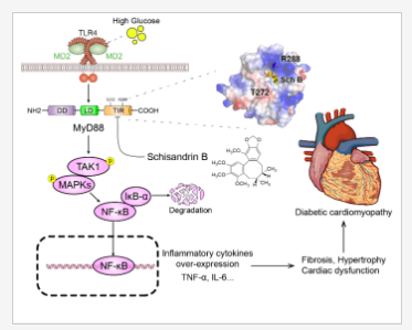 1665650170631160.png 2.png