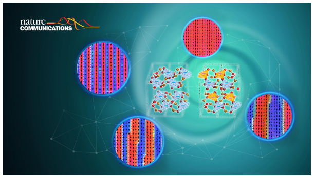 1666601247279014.png image.png