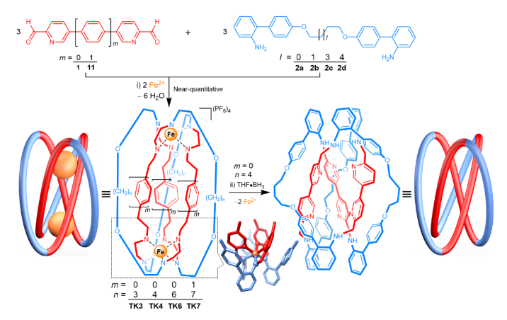 1666665922521200.png image.png