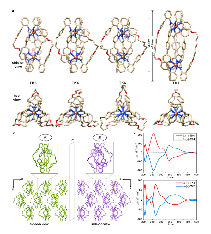 1666665934776368.png image.png