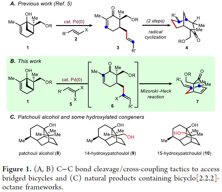 1666667537541201.png 圖片2.png