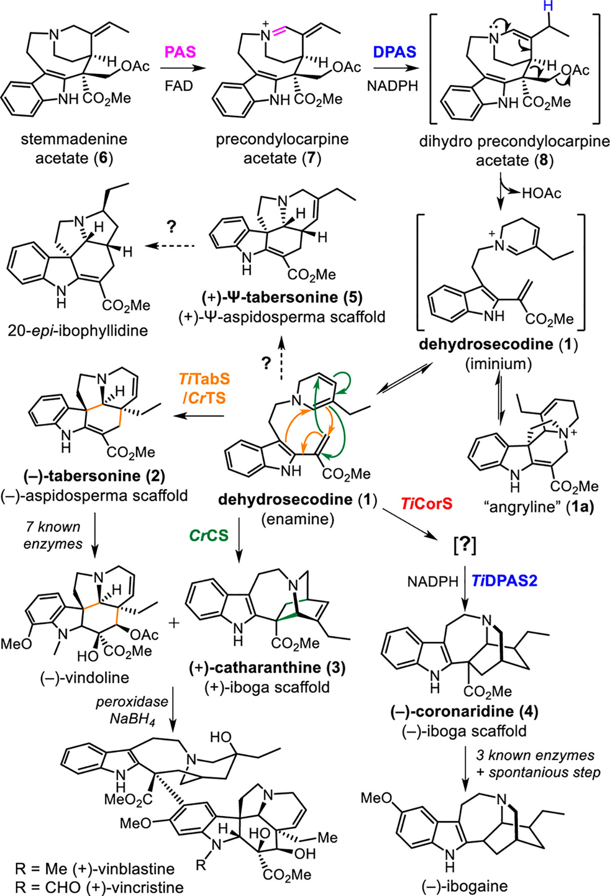 1666680053511714.png 圖片1.png