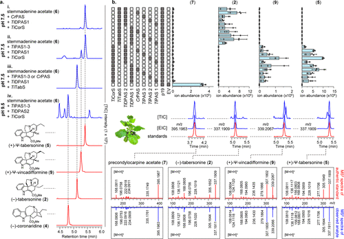 1666680059639860.png 圖片2.png