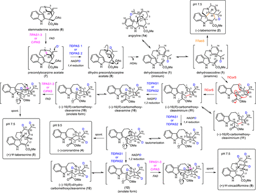 1666680075541645.png 圖片4.png