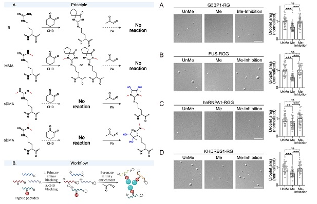 1666842795706873.png image.png