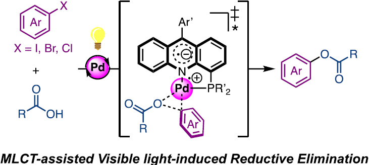 1666925488105712.png 圖片1.png