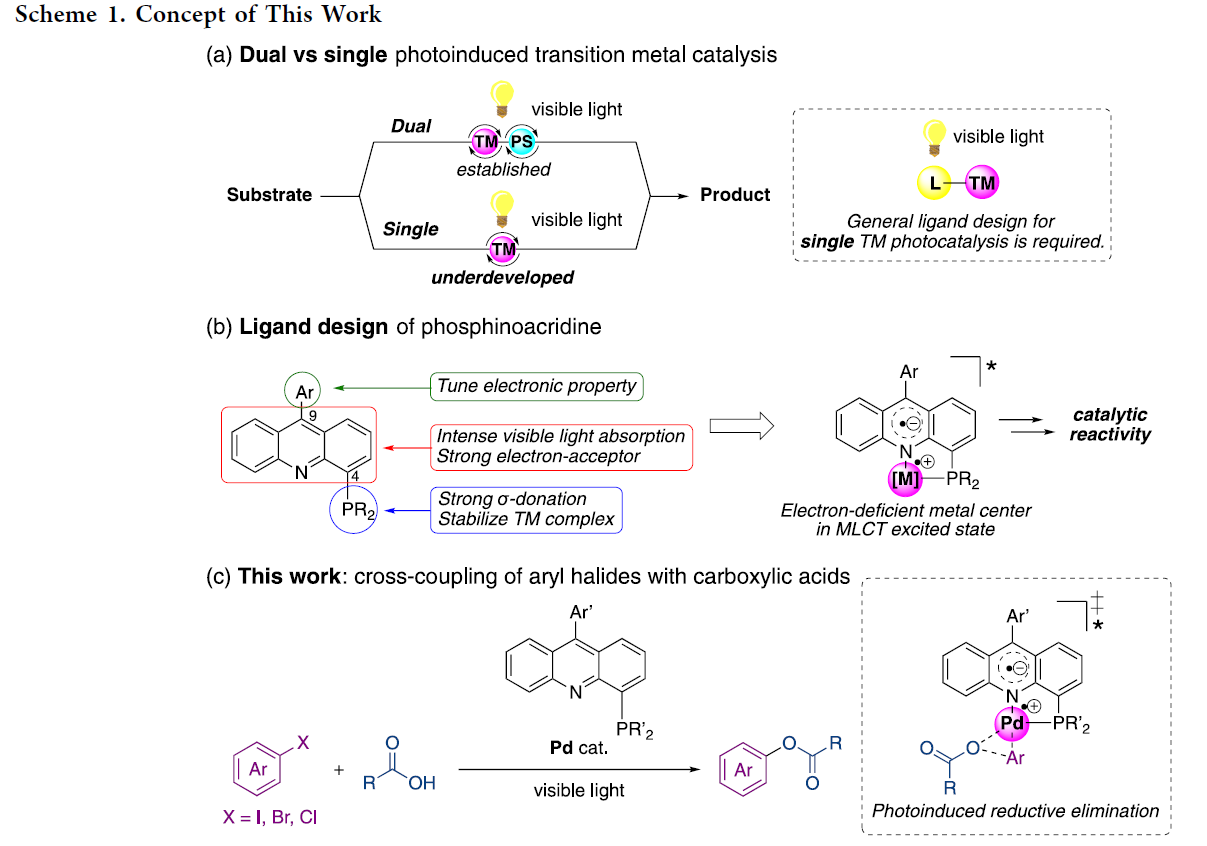 1666925493853563.png 圖片2.png