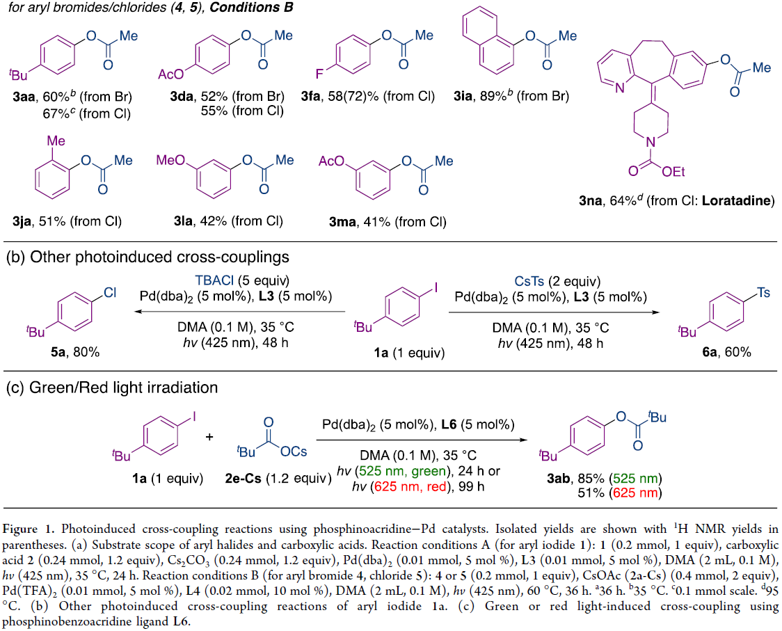 1666925509864678.png 圖片5.png
