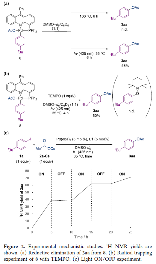 1666925514141887.png 圖片6.png