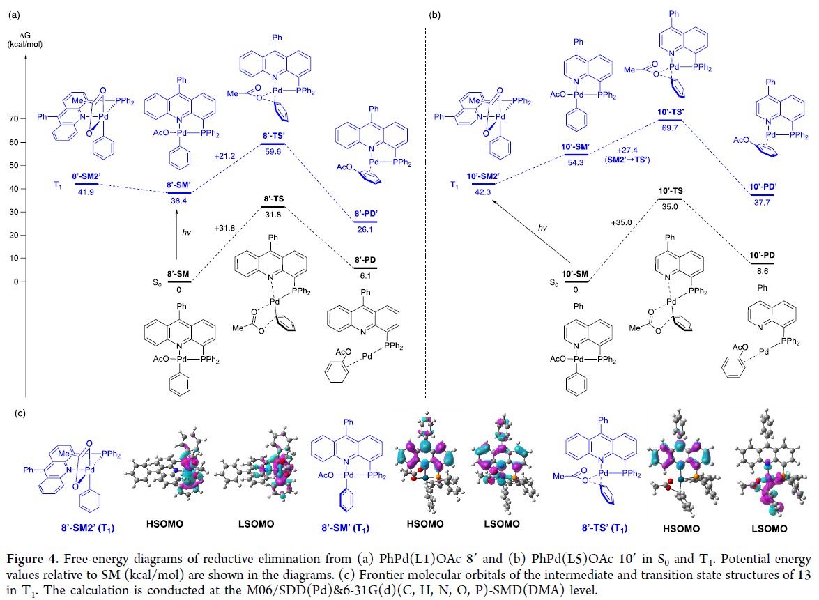 1666925530676001.png 圖片9.png