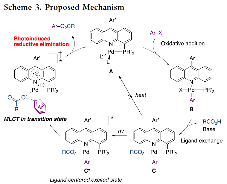 1666925536571962.png 圖片10.png