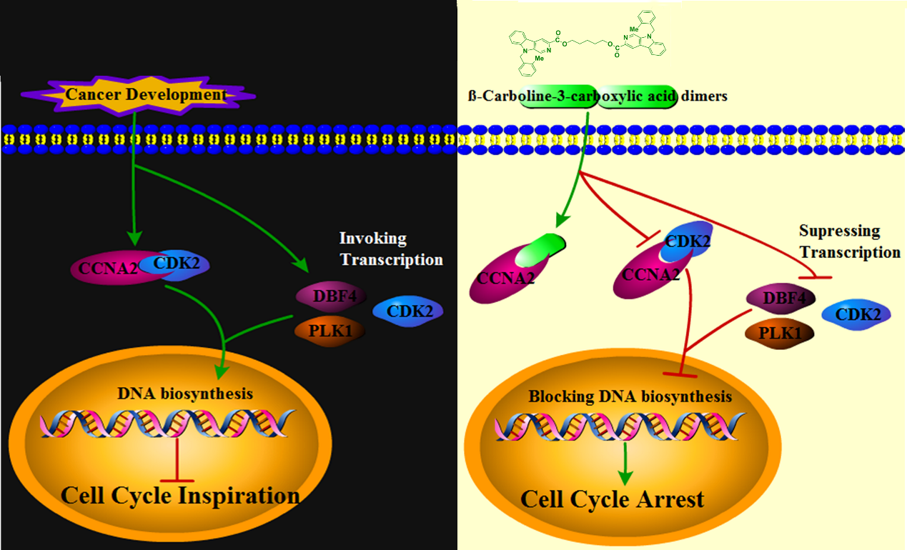 1666934973663776.png 圖片10.png