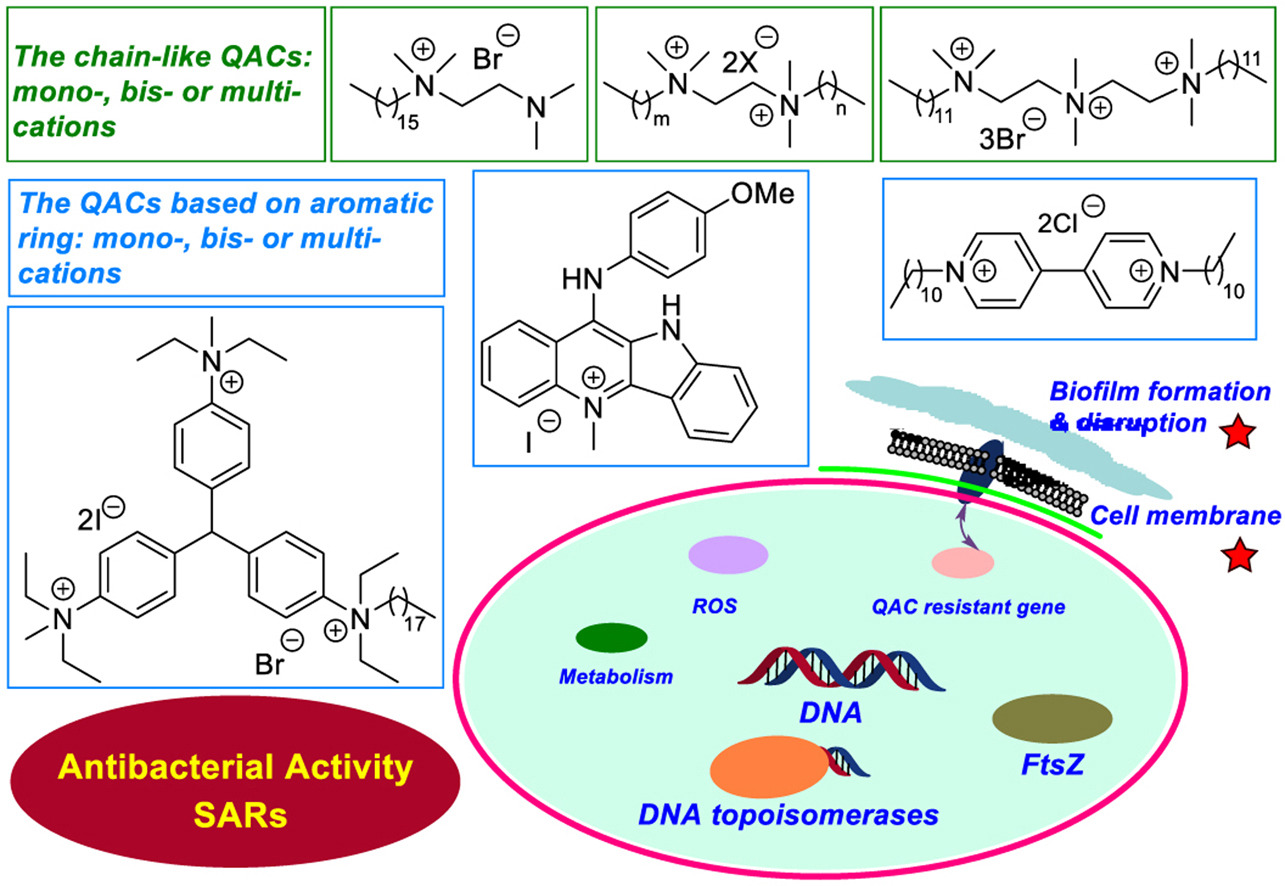 1666934979780776.jpg 圖3.jpg