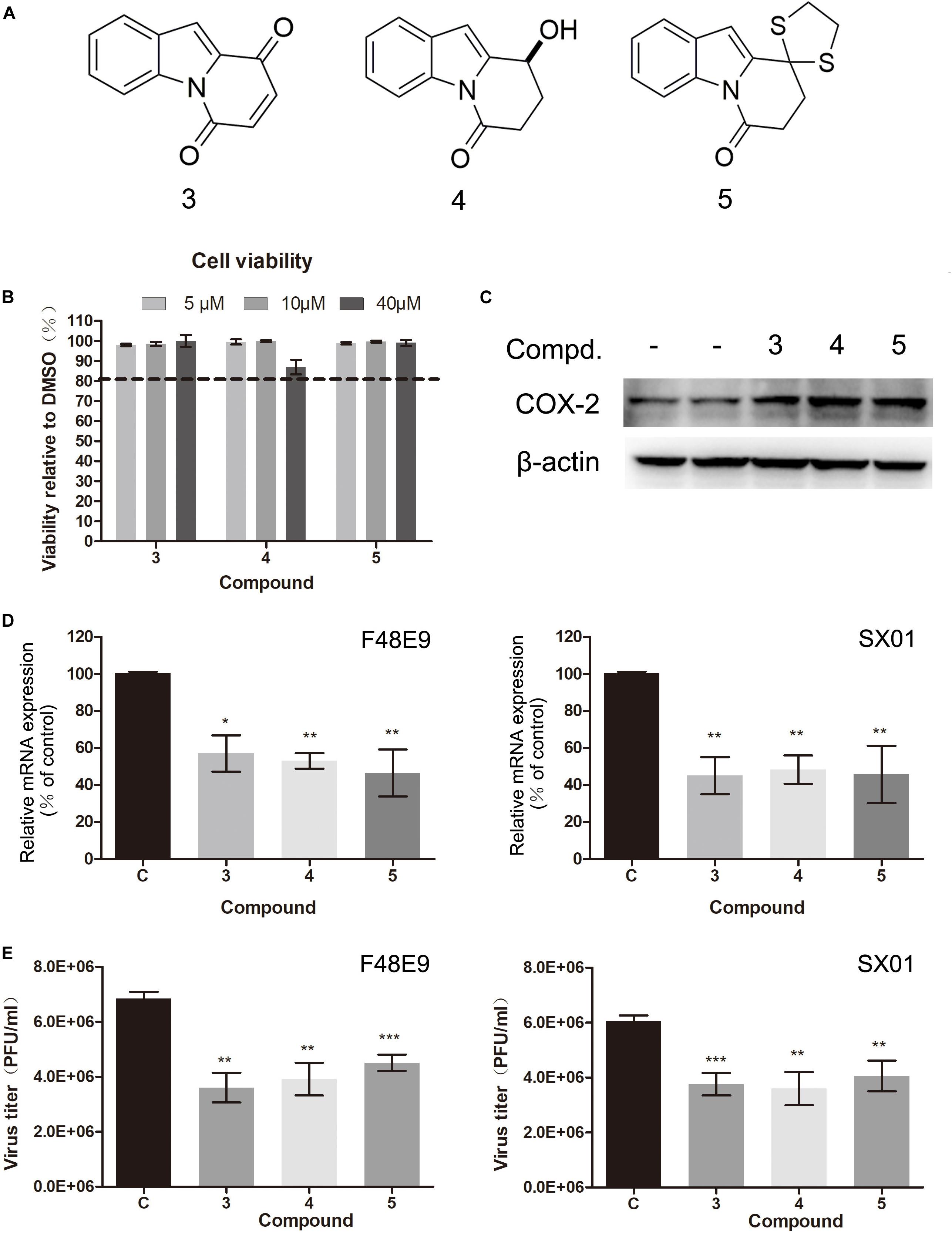 1666934998393390.jpg 圖5.jpg