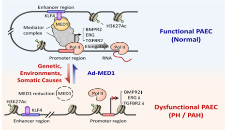 1667459959110328.png image.png