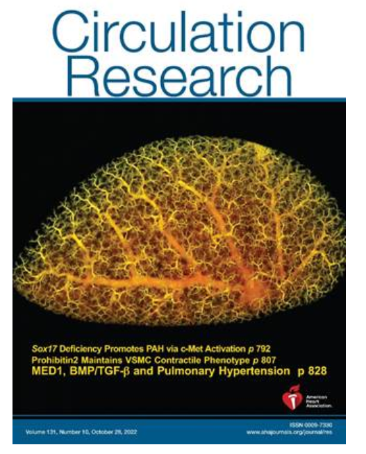 1667459967305260.png image.png