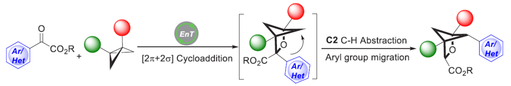 1667787871225196.png 圖片1.png