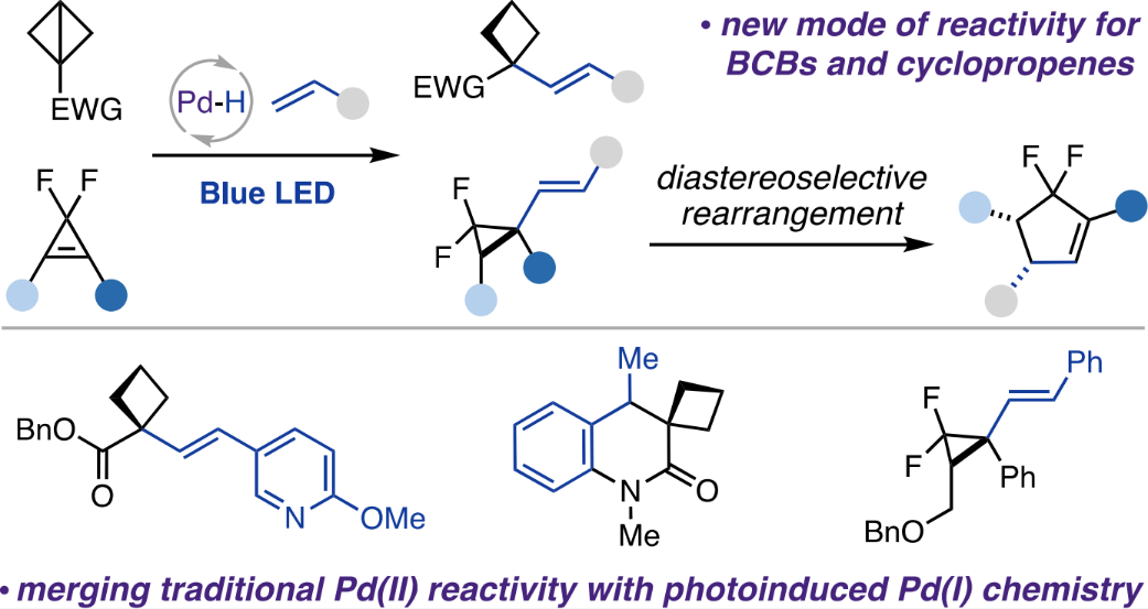 1667799518752953.png 圖片1.png