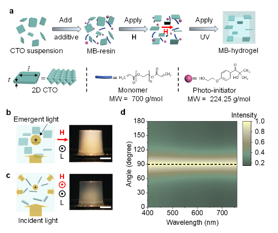 1667965124809794.png image.png