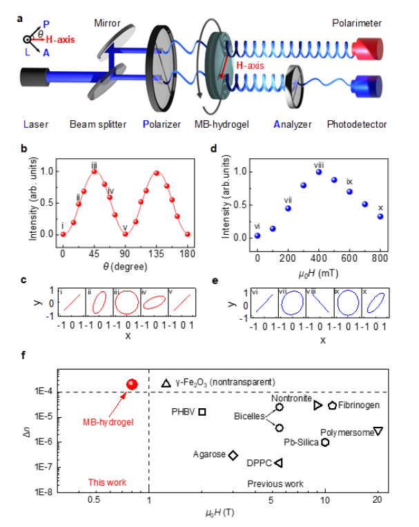 1667965139117045.png image.png