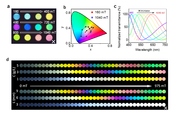 1667965152685676.png image.png