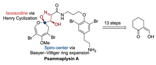 1668404768625335.png 圖片1.png