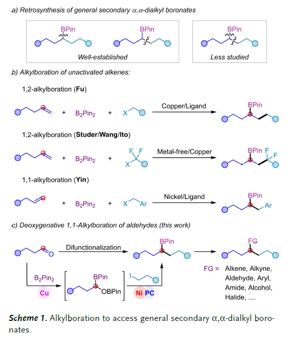 1668407013558535.png 圖片24.png