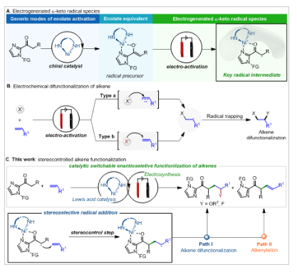 1668484868127335.png image.png