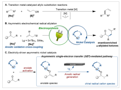 1668484876670381.png image.png