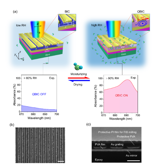 1668492529313335.png image.png