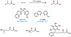 1668582620778465.png 圖片1.png