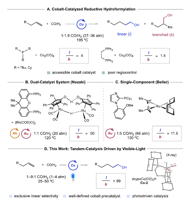 1668748457397472.png 圖片1.png