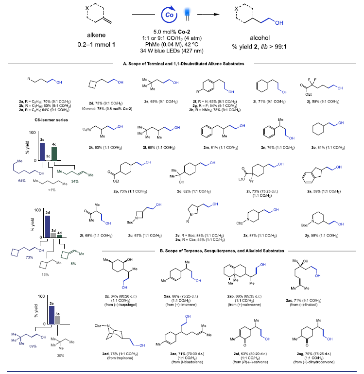 1668748470544923.png 圖片3.png