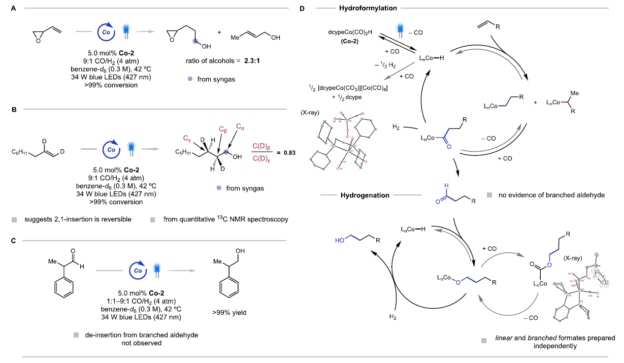 1668748476977547.png 圖片4.png