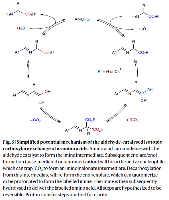 1668828656110502.png 圖片7.png