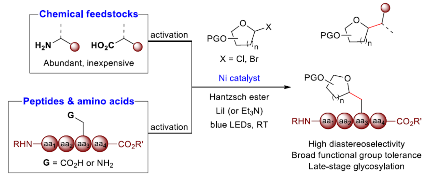 1668830587736291.png 圖片15.png