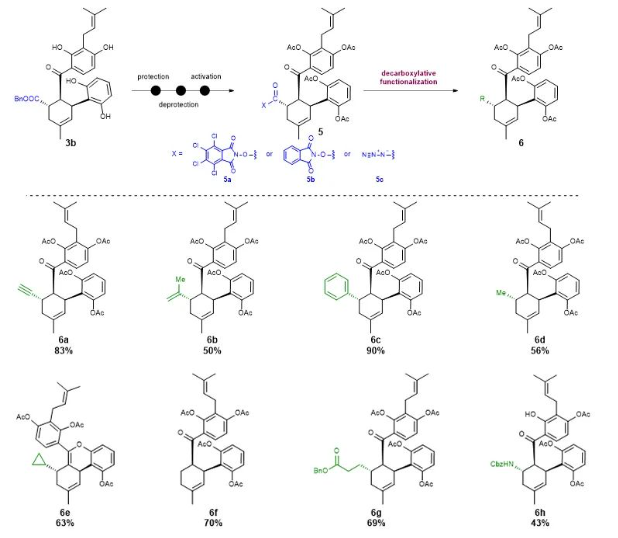 1668992141718014.png image.png