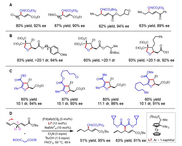 1669017602775178.png image.png