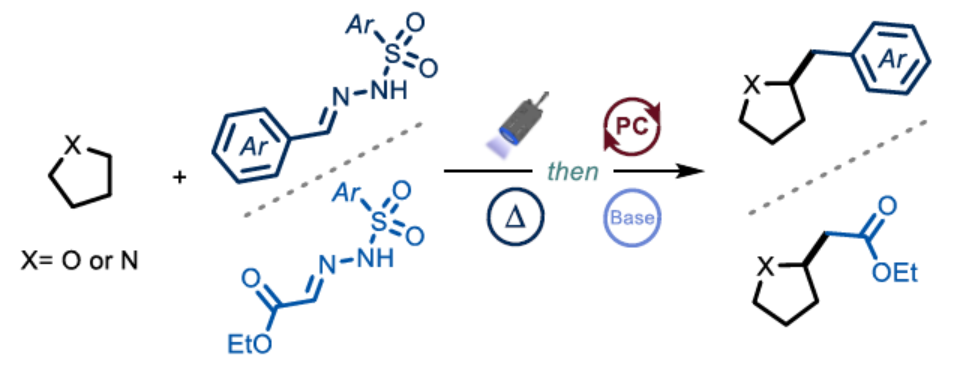 1669166395513657.png 圖片1.png