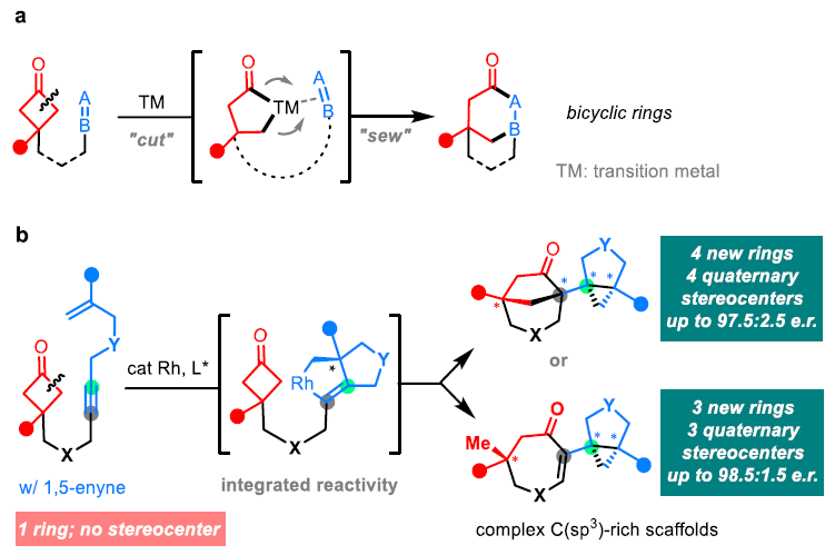 1669167484228057.png 圖片8.png