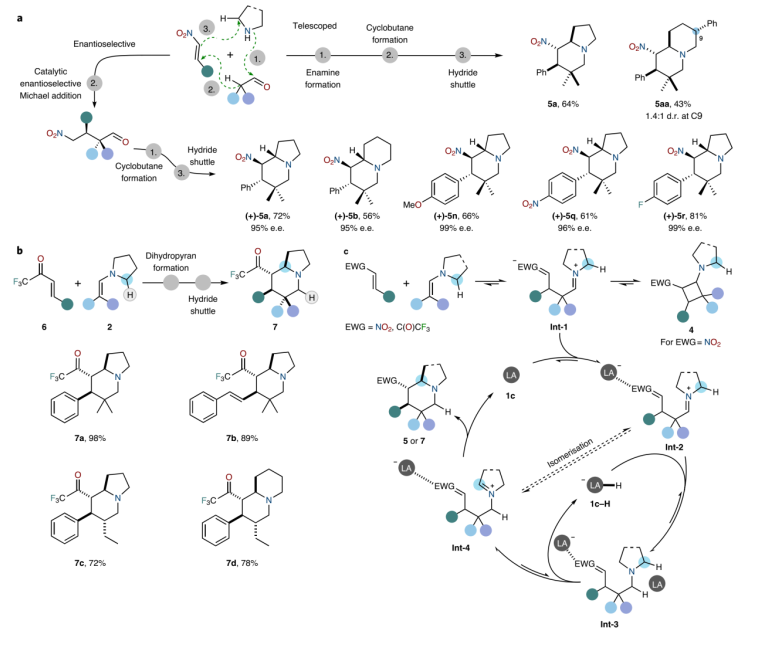 1669168301388416.png image.png