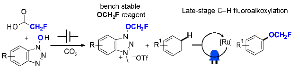 1669170026593276.png 圖片30.png