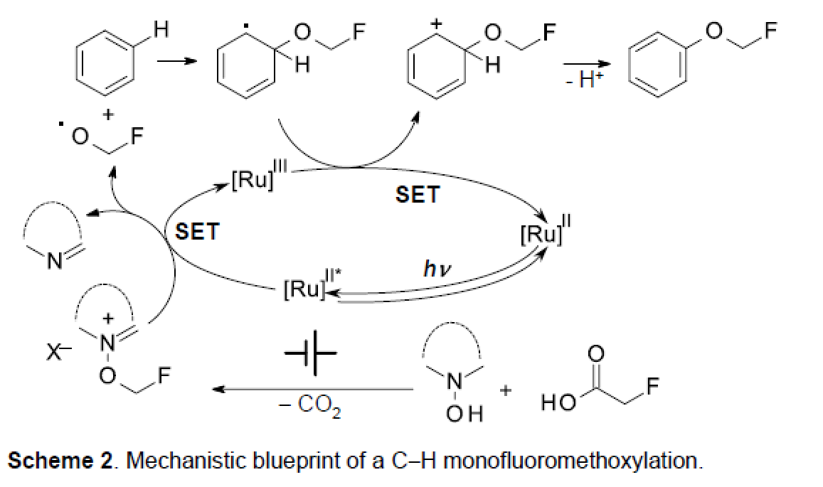 1669170044898491.png 圖片33.png