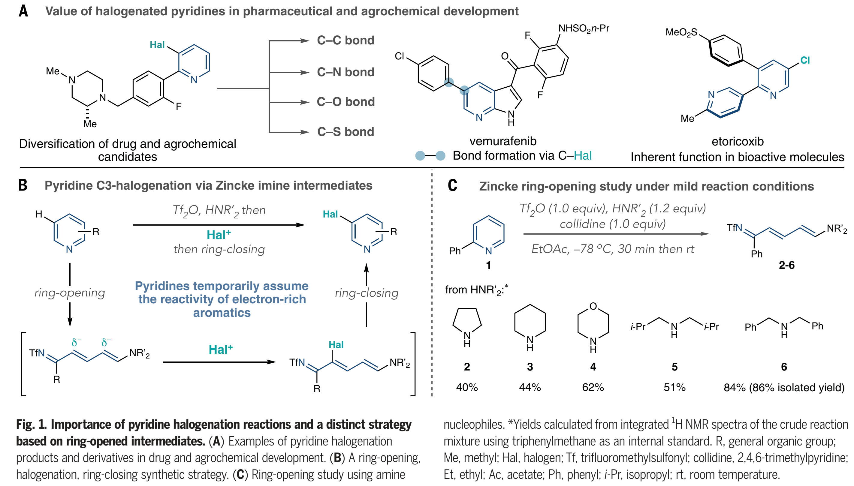 1669171208999757.png 圖片38.png