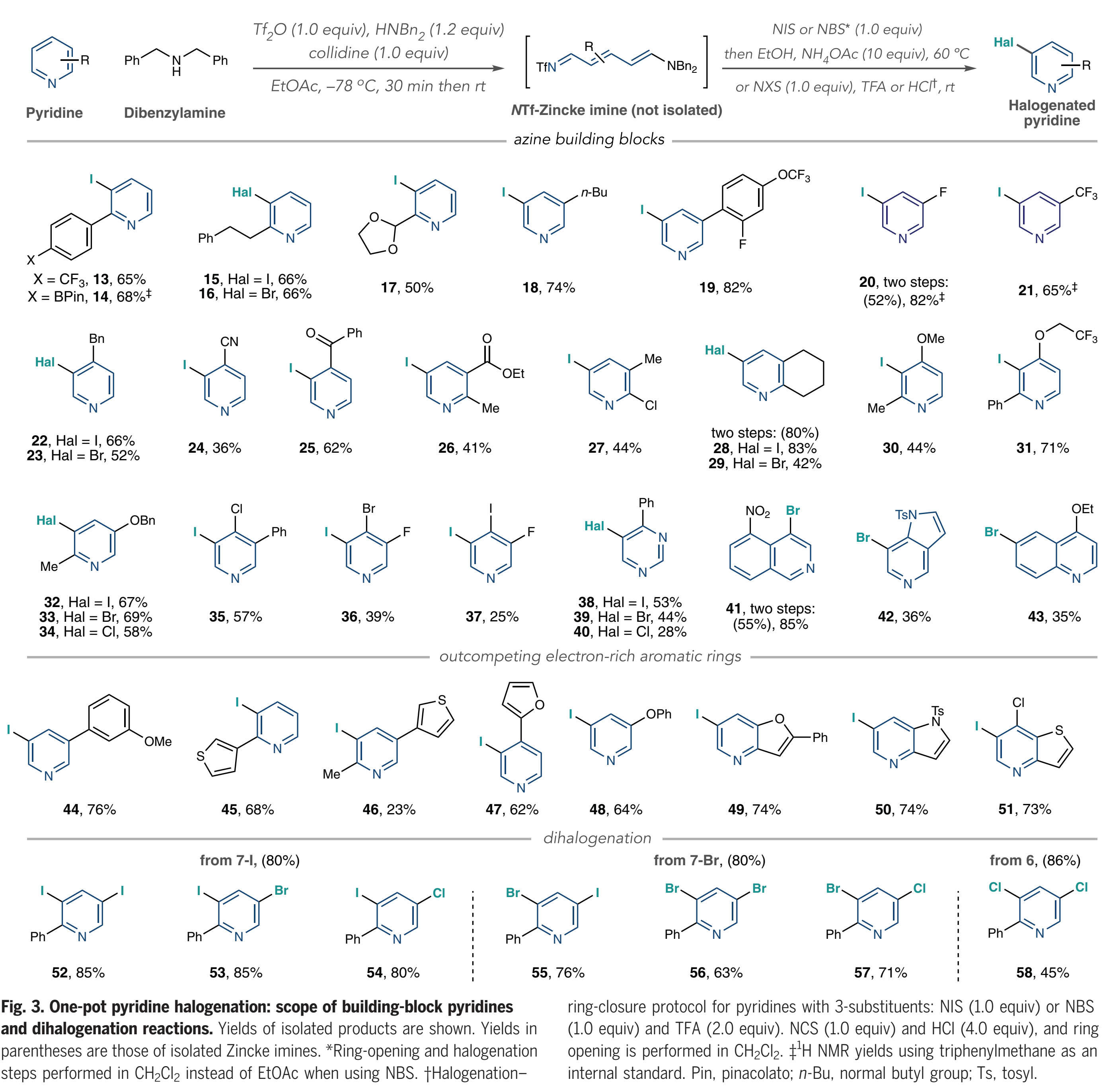 1669171224410429.png 圖片40.png