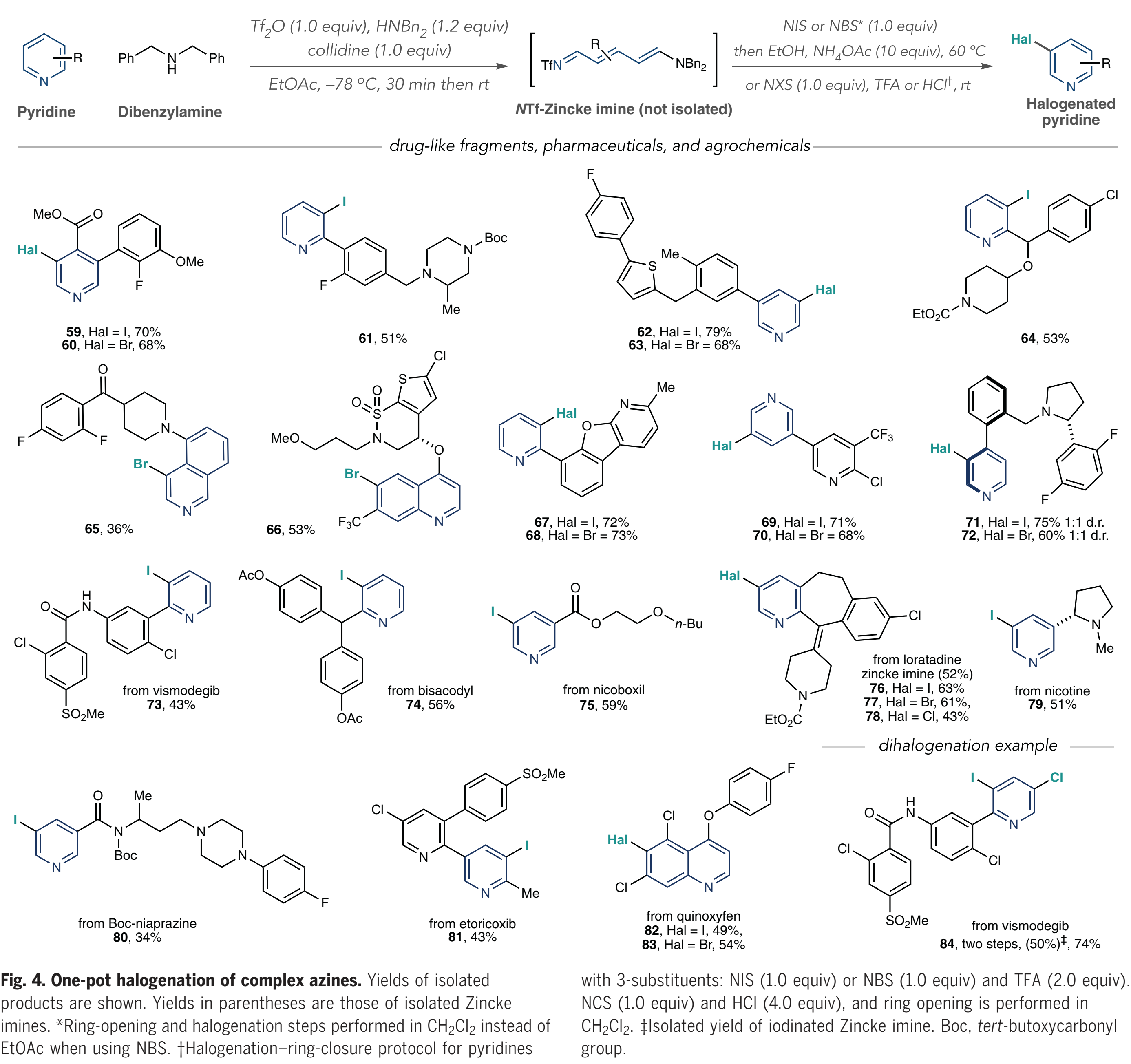 1669171230504228.png 圖片41.png