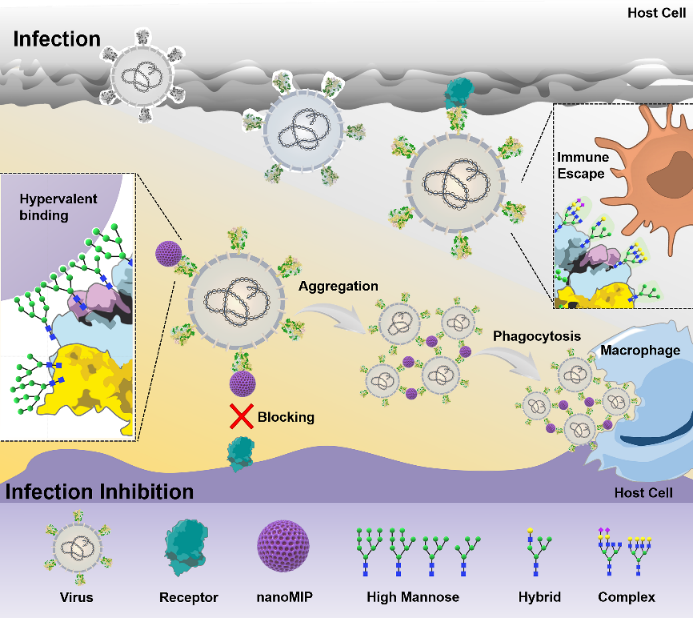 1669187964769520.png af3c8357-cb8c-479c-bc92-44b6a2f97155.png