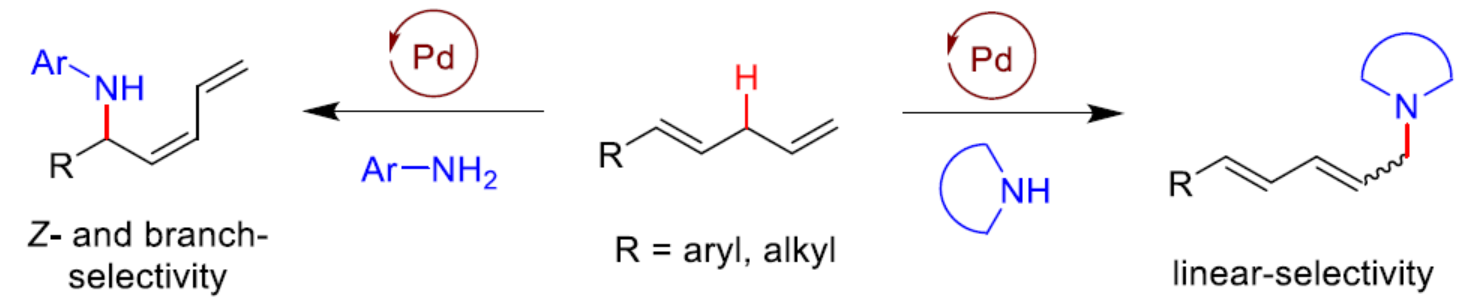 1669189383631421.png 圖片1.png